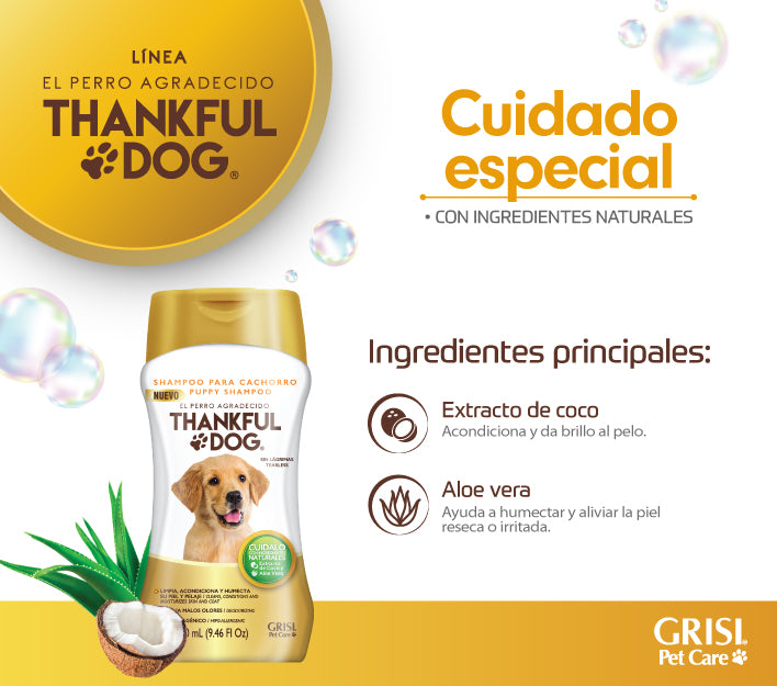 Pack Shampoo para cachorro Thankful Dog GRISI