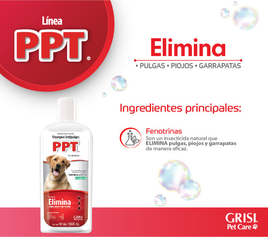 GRISI 3 Pack Shampoo Antipulgas PPT