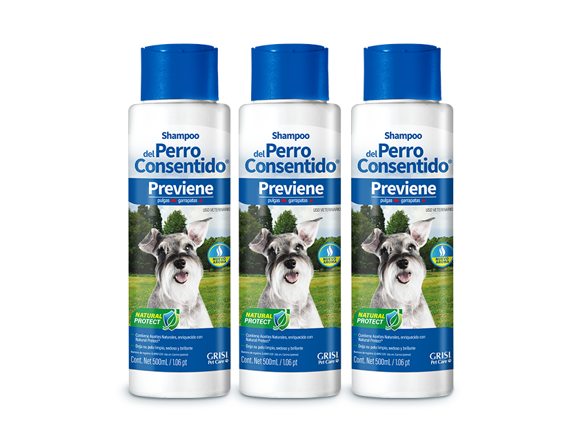 3 Pack Shampoo Del Perro Consentido