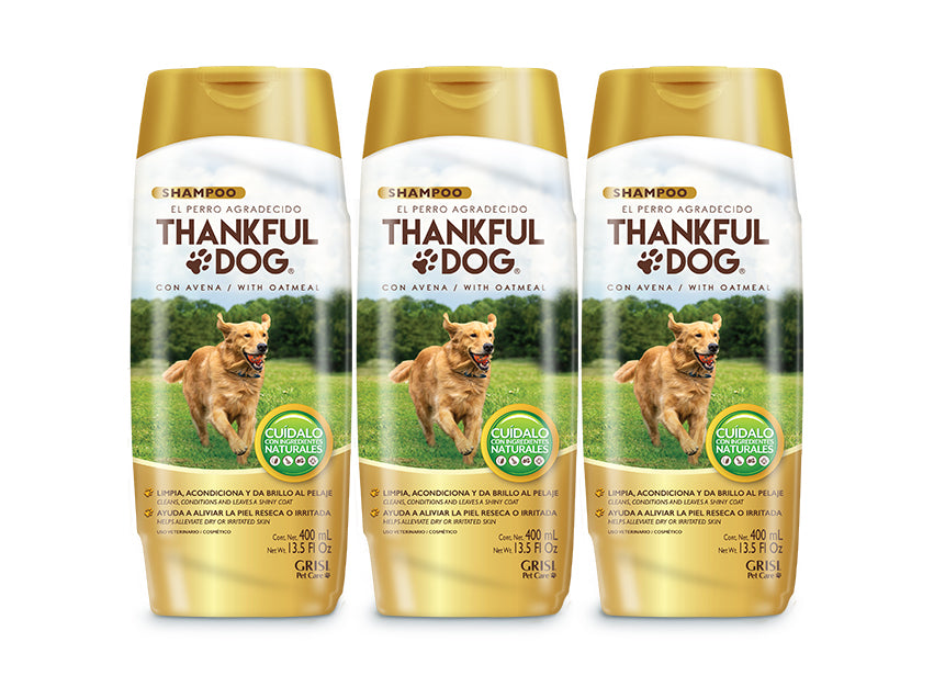 3 Pack Shampoo Thankful Dog